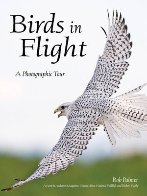 cover image of Birds in Flight